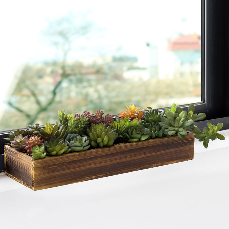 5'' Faux Succulent in Solid Wood Planter