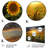 Plants & Flowers Wall Decor on Metal