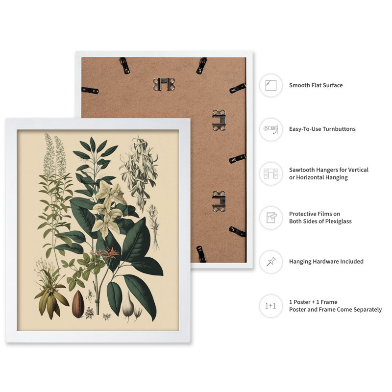Fleur sauvage n ° 1, Affiche, Encadrement blanc, H 16 po x l 20 po