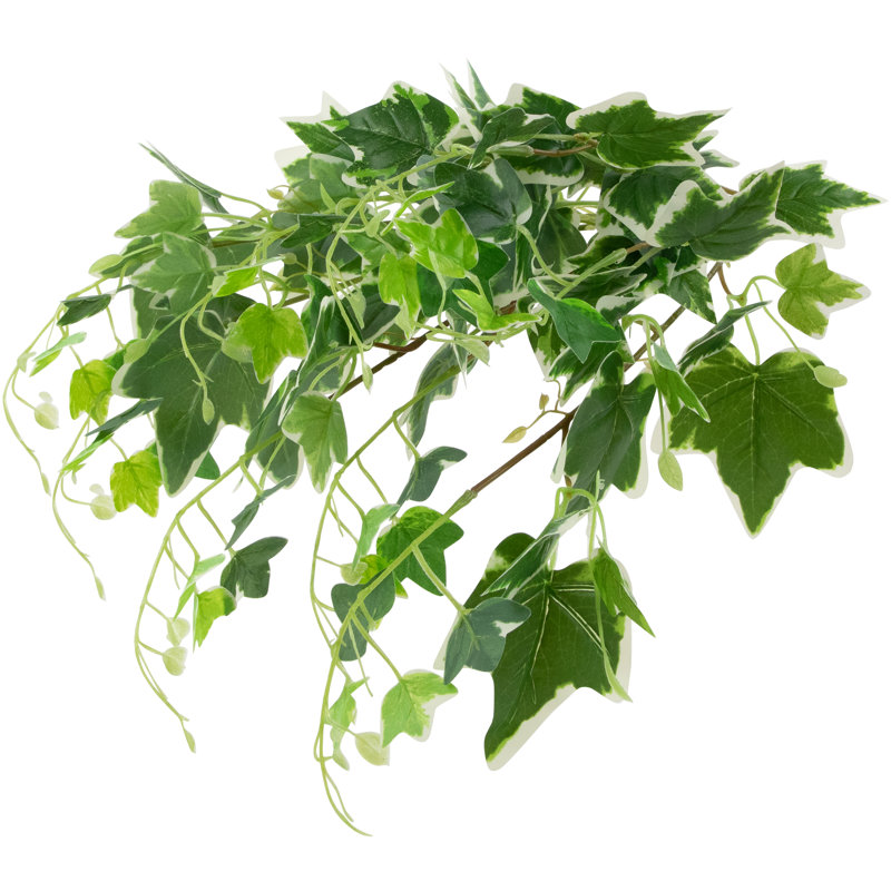 Green and White Plastic Ivy Hanging Bush