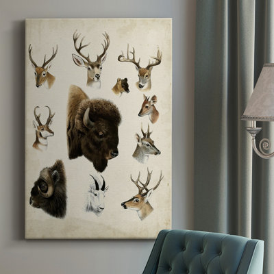 " Western Animal Species I "