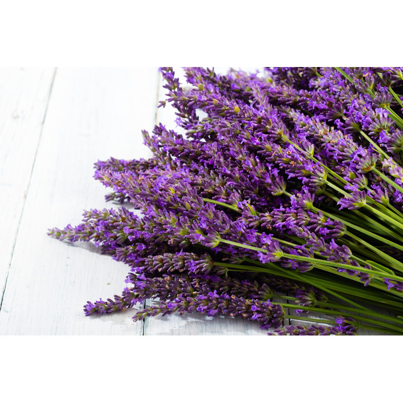 Lavender Bunch - Wrapped Canvas Print, 30cm H x 46cm W x 3.8cm D