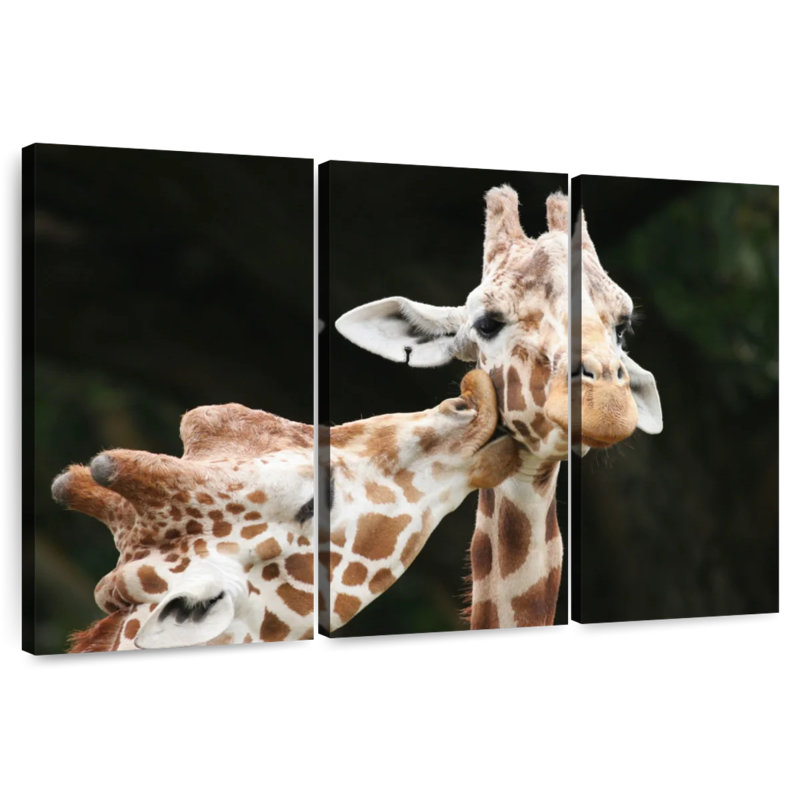 Brampt embrassant des girafes, H 32 po x l 50 po