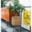 Plant Stand