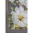 Botanical Wall Art Prints for Living Room