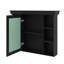 Armoire de rangement murale 35 po x 28 po avec porte miroir et 6 étagères ouvertes-792734195
