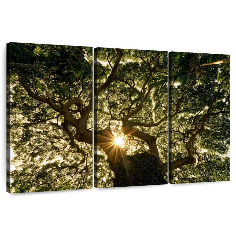 Harnek Sunny Banyan Tree, 42" H x 65" W
