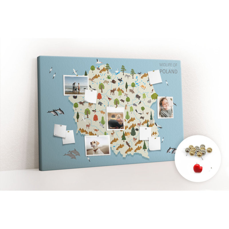 Bridgit Cork Corkboard / Bulletin Board