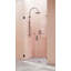 Illume 44.75 in. x 78 in. Fully Frameless Wall Hinge Shower Door-1773603772
