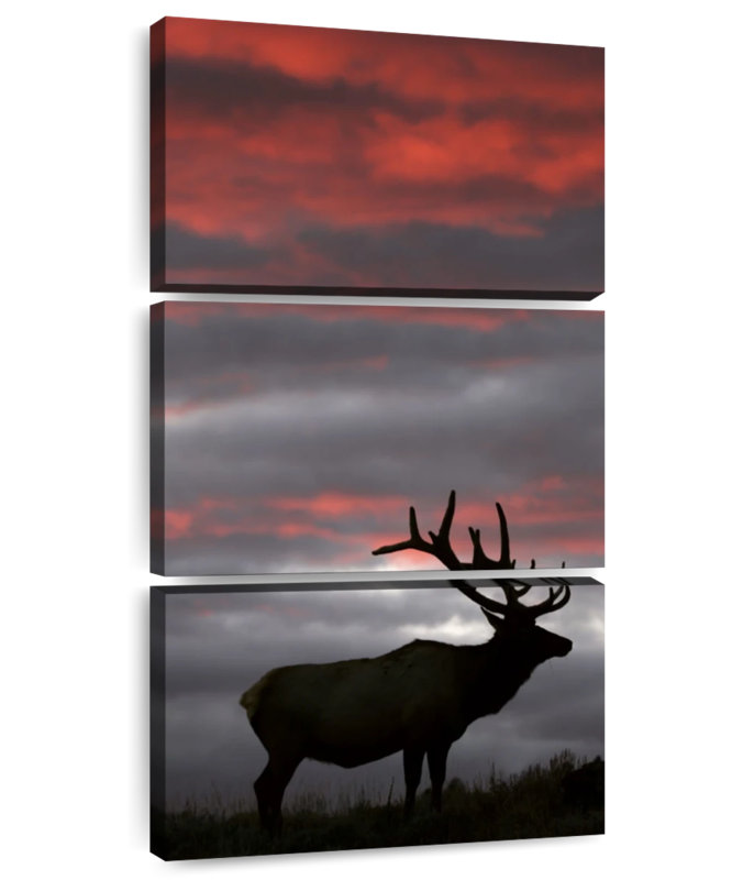 Coucher de soleil Elk Fiery, H 27 po x l 12 po