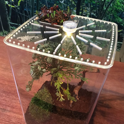 Cage de terrarium en acrylique reptile