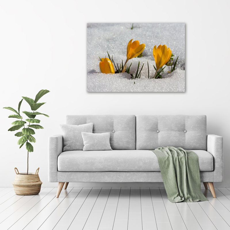 Crocuses In The Snow - Wrapped Canvas Print