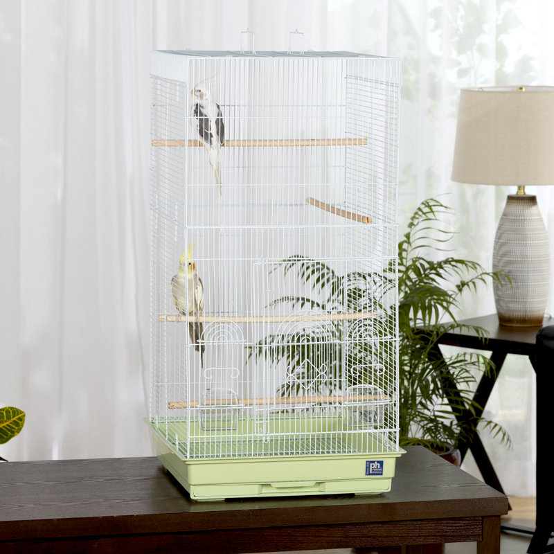 Cage à oiseaux en acier avec perche à poser pour plateau de table 36 po Hilary, Sauge vert