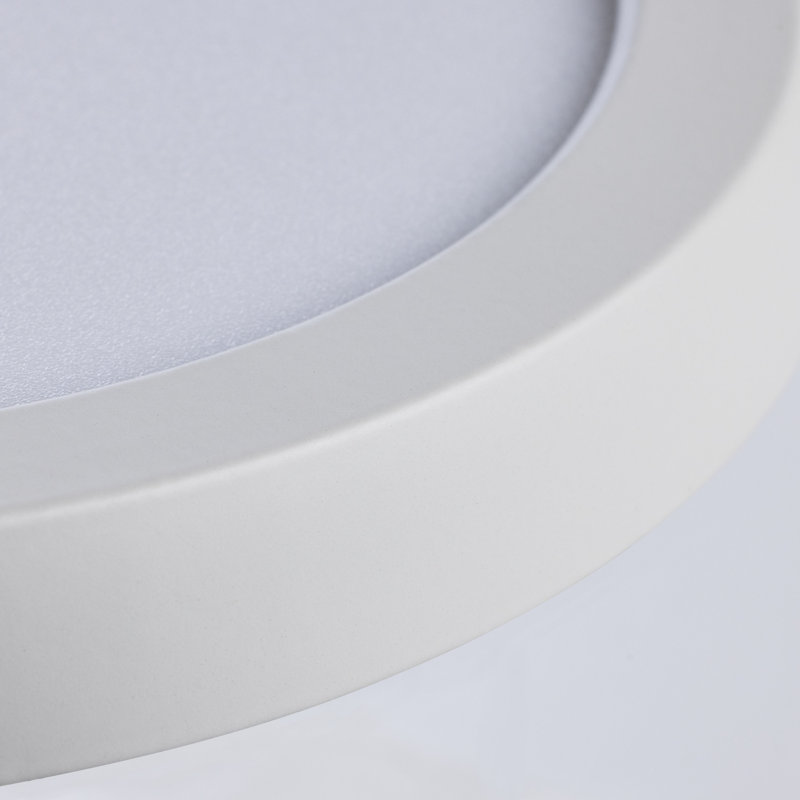 Dimmable Round Flush Mount