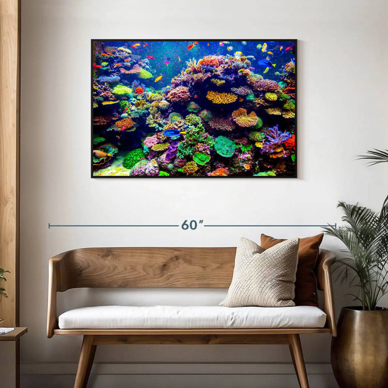 Aquarium de Singapour, récif de corail, Cadre flottant noir, 43 po x 29 po