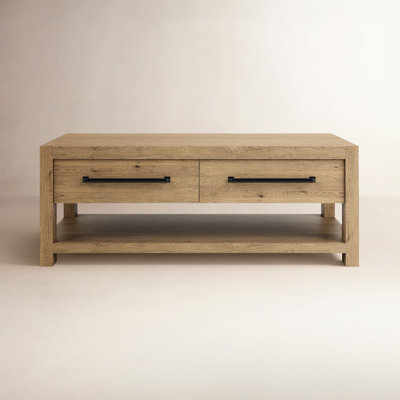 Laroche 48" Coffee Table with Storage