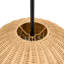 Luminaire suspendu Dejanea - noir mat-2094173368-2094173365