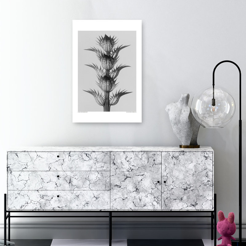 Acanthus Mollis, rétro, art mural rétro, 36" H x 24" W