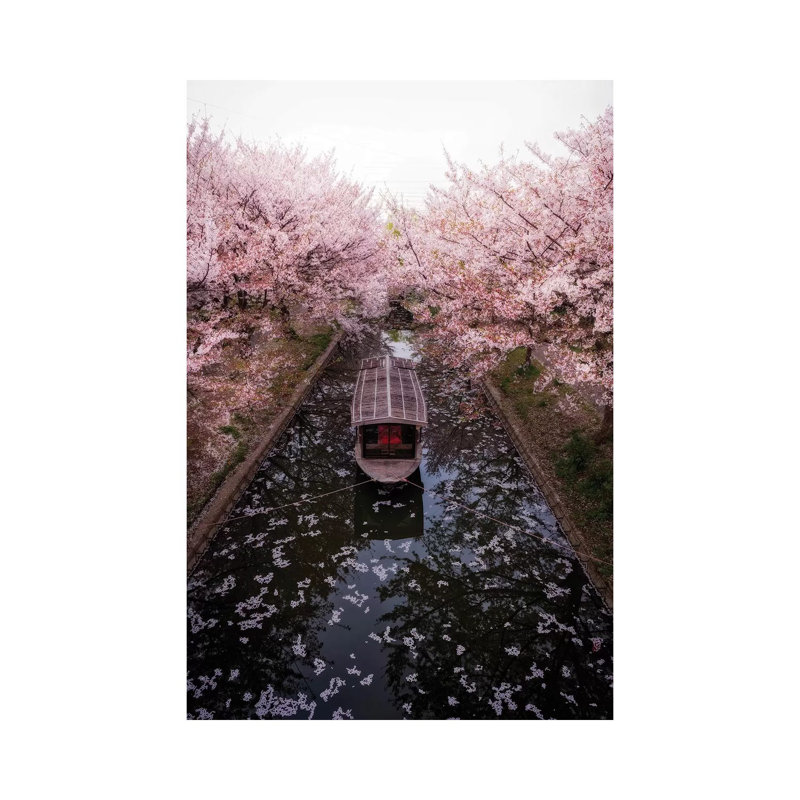 Spring In Japan XXIII by Daisuke Uematsu - Print on Canvas, Wrapped Canvas, 101.6cm H x 66.04cm W x 3.81cm D