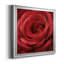 Solo Solo - photographie sur toile encadrée-96482035-96482046