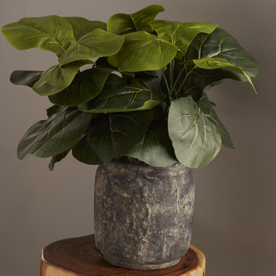 Plante de bureau à fleurs avec feuille de fleurs en pot planterted