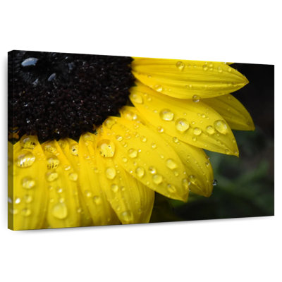 Harnek Dewy Sunflower