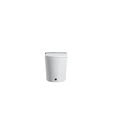 Smart Toilet
