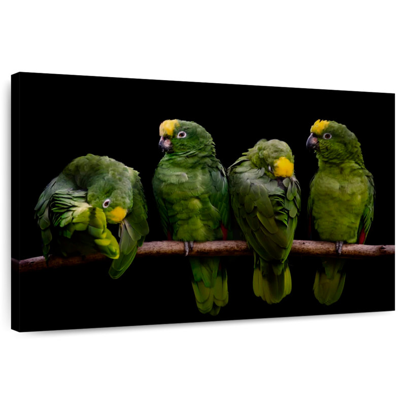 Crowle Crowned Parrots, 24" H x 36" W
