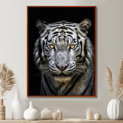 Tigre blanc féroce II - impressions encadrées de tigre