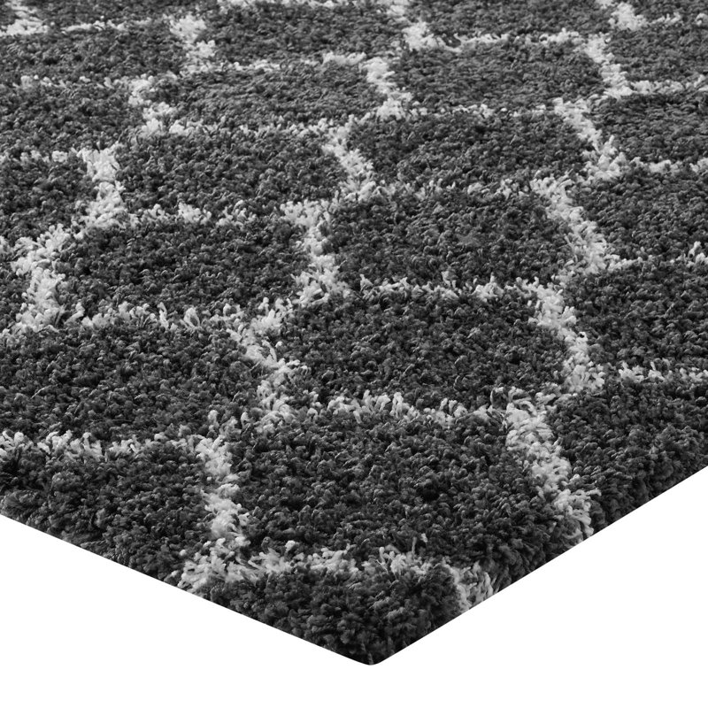 Tapis à poils longs Solvea, Rectangle de 5 pi x 8 pi