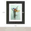 Ensemble de 4 cadres photo avec passe-partout-1012001711-1012001710