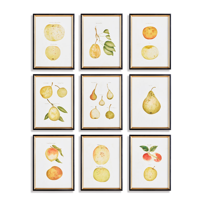 Assorted Fruits Study Prints