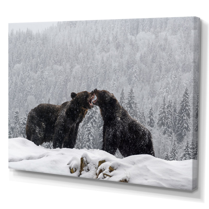 «Two Angry Brown Bear Fight in Winter Forest», reproduction sur toile, H 16 po x l 32 po, Toile tendue