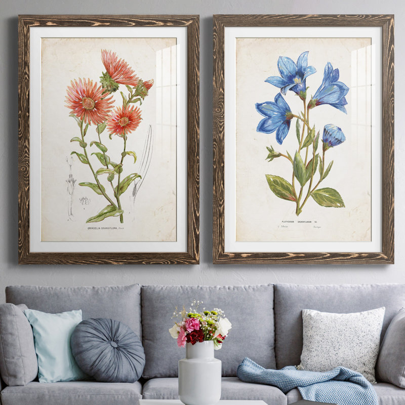Botanical I - 2 Piece Print, White, Walnut Framed Paper, 44" H x 31" W x 1" D