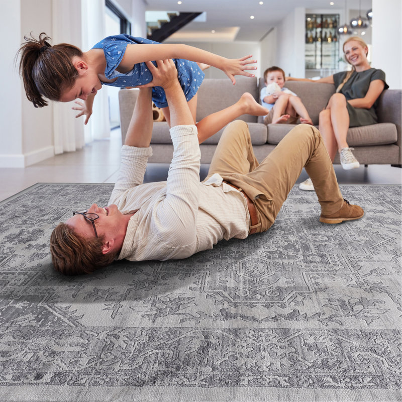 Collection Silver/Oriental Non-Shedding Living Room Bedroom Dining Home Office Stylish And Stain Resistant Area Rug