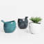 Pot à fleurs en céramique brillant pour oiseaux de 4 po Zygi (blanc)-673452330