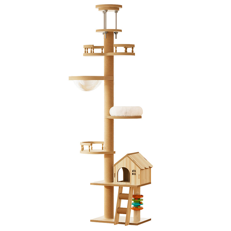 Arbre à chat Modern Modern