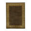 Wool Oriental Area Rug in Gold