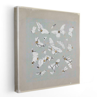 19ème siècle, constellations de papillons III - impression sur toile