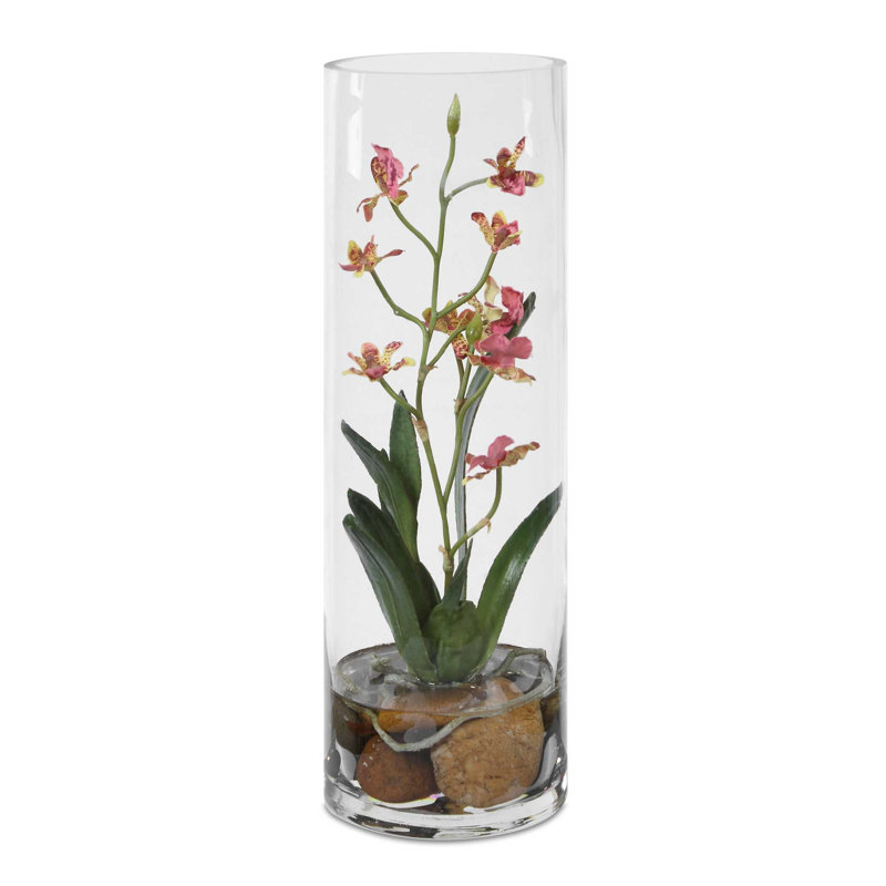Orchidée rose Mariposa