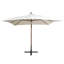 300 cm W X 300 cm D Hexagonal Cantilever Parasol-802312112
