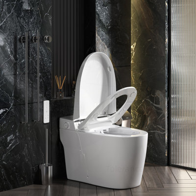 Advanced Smart Bidet Toilet with Multiple Functions for Hygienic Comfort