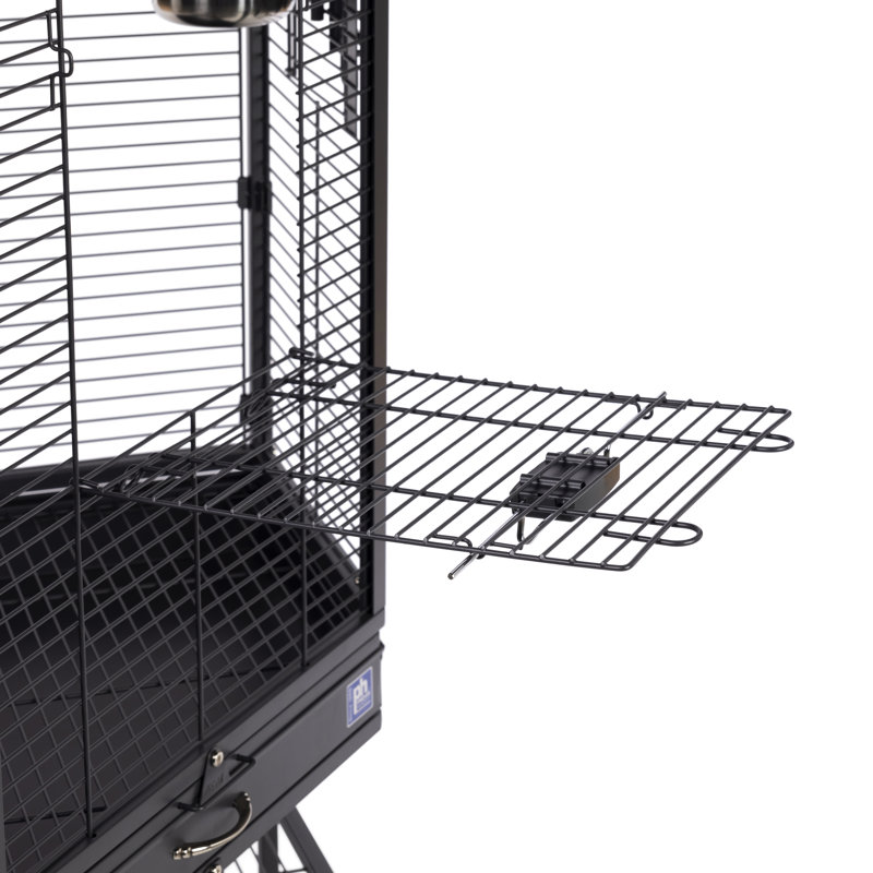 Cage à oiseaux d'angle