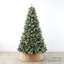 Sapin de Noël givré-1940557109