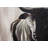 Bull Head Front View - Office Beige Framed Canvas Decor