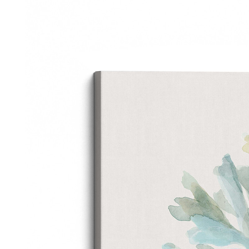 Coastal Sagebrush Whisper sur toile, Toile tendue, H 12 po x l 12 po
