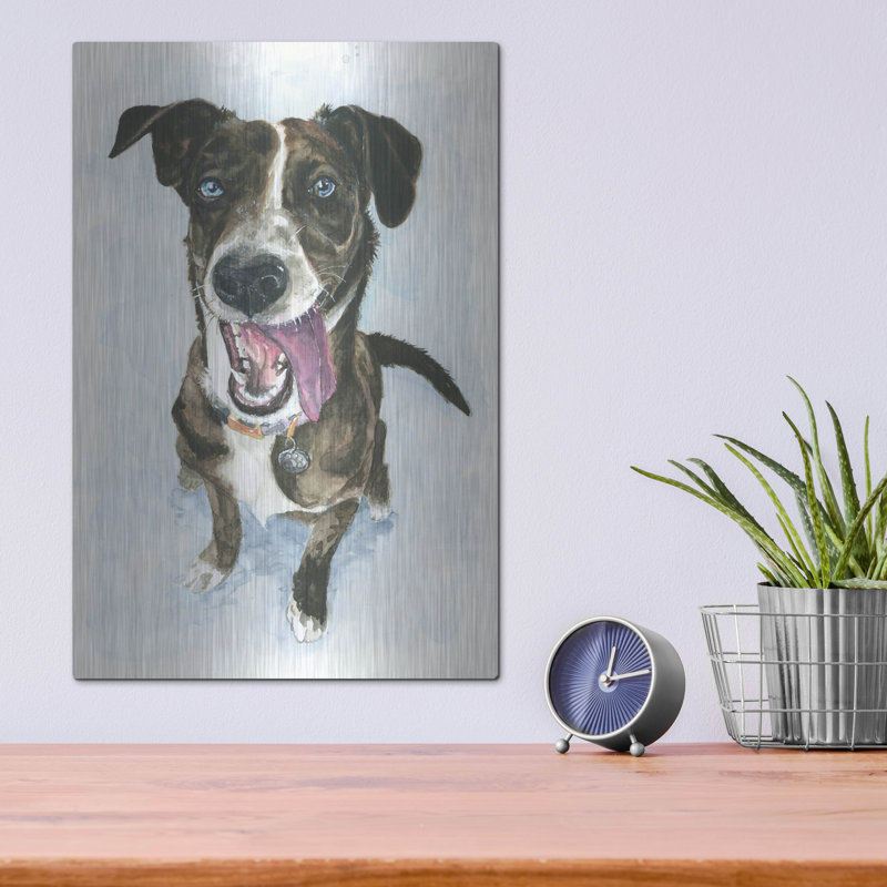  «Portrait souriant de chiots bringés» par Anika Goodhue, art mural en métal, 12 po x 16 po, H 16 po x l 12 po