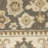 Caryll Oriental Indoor Rug-1637774166
