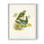 White Single Picture Framed