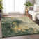 Machine Washable Indoor/Outdoor Chayil ACN1073 Aloe Rug